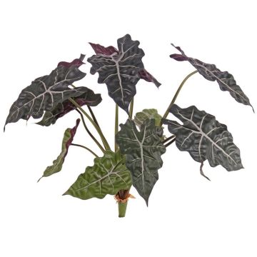 Umělá alocasia sanderiana AINARA, zeleno-bílá, 60cm Umělá alocasia sanderiana AINARA, zeleno-bílá, 60cm