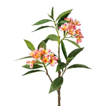 Dekorativní větev frangipani DRIFEN, žlutorůžová, 110cm Dekorativní větev frangipani DRIFEN, žlutorůžová, 110cm