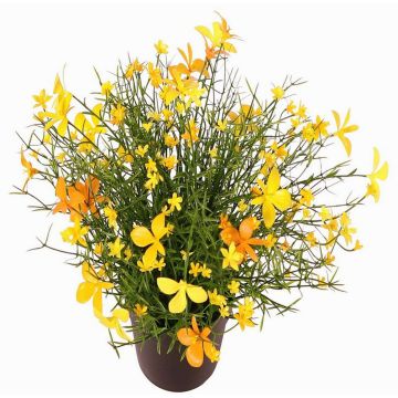 Dekorativní květina GISINDA v dekorativním květináči, žlutooranžová, 25cm Dekorativní květina GISINDA v dekorativním květináči, žlutooranžová, 25cm