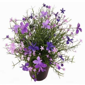 Dekorativní květina GISINDA v dekorativním květináči, lila-lila, 25cm Dekorativní květina GISINDA v dekorativním květináči, lila-lila, 25cm