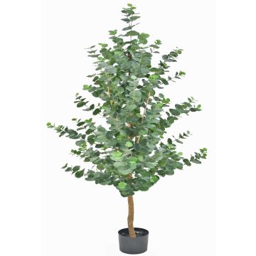 Umělý eukalyptový strom WEONFYN, umělý kmen, zelený, 180cm Umělý eukalyptový strom WEONFYN, umělý kmen, zelený, 180cm