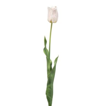 Umělá tulipán SIDRA, bílá-jemně růžová, 65 cm