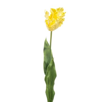 Dekorativní papagájová tulipán LUNIA, světle žlutá, 70cm Dekorativní papagájová tulipán LUNIA, světle žlutá, 70cm