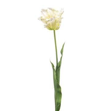 Dekorativní papagájová tulipán LUNIA, bílá-zelená, 70cm Dekorativní papagájová tulipán LUNIA, bílá-zelená, 70cm