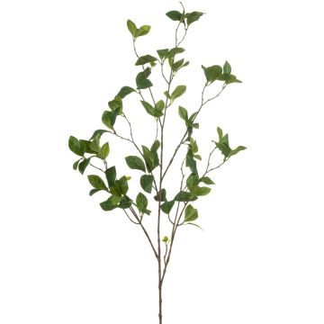Umělá třešňová větvička VIBIA, zelená, 115cm Umělá třešňová větvička VIBIA, zelená, 115cm