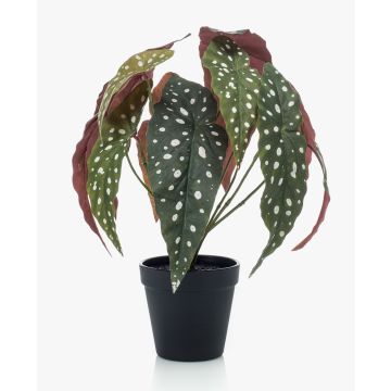 Umělý pstruh Begonia ELISEIA, zeleno-bílý, 30cm Umělý pstruh Begonia ELISEIA, zeleno-bílý, 30cm