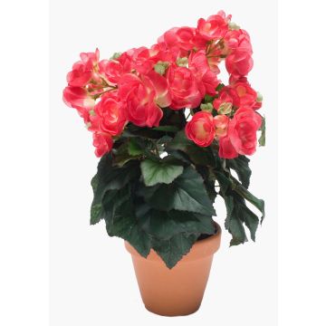 Umělá begonie CATINKA v terakotovém květináči, růžová, 30cm Umělá begonie CATINKA v terakotovém květináči, růžová, 30cm