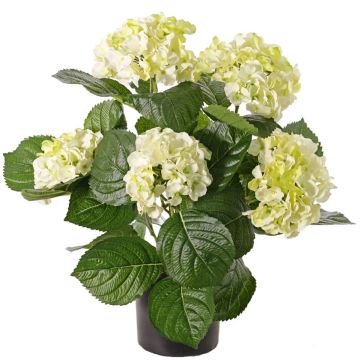 Umělá květina hortenzie TEMARI, krémovo-zelená, 35cm, Ø10-12cm