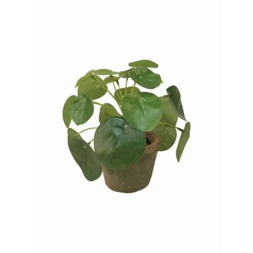 Umělá pilea SYBIL v terakotovém květináči, zelená, 13cm