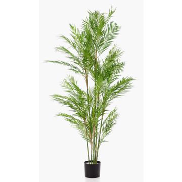 Umělá horská palma REDOVAN, 180cm