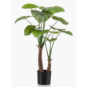 Plastová alokázie calidora XABIA, zelená, 110cm Plastová alokázie calidora XABIA, zelená, 110cm
