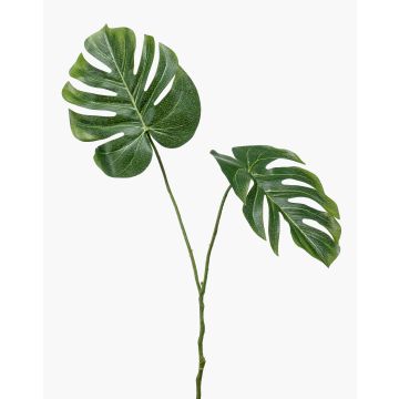 Umělá Philodendron Monstera Deliciosa AECIO, 50cm Umělá Philodendron Monstera Deliciosa AECIO, 50cm