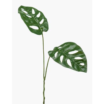 Umělá větev Philodendron Monstera Deliciosa FESTIM, 50cm Umělá větev Philodendron Monstera Deliciosa FESTIM, 50cm
