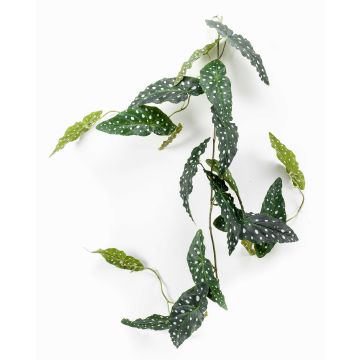 Umělý pstruhový věnec Begonia JOELLE, zeleno-bílý, 120 cm Umělý pstruhový věnec Begonia JOELLE, zeleno-bílý, 120 cm