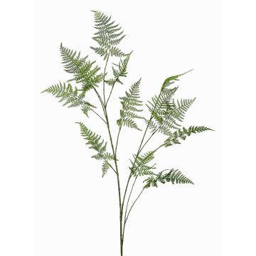 Umělá větev Asparagus plumosus FAYNA, 135 cm