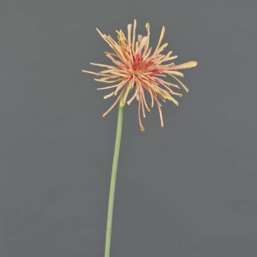 Umělá chryzantéma SUSUMU, oranžová, 60cm