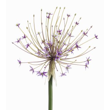Plast Allium GETARIA, fialový, 105 cm