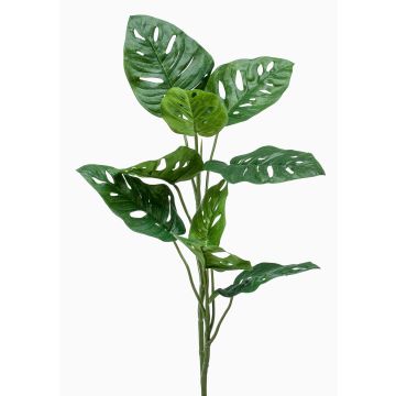 Art Philodendron Monstera Deliciosa BERLANGA, hůl, 75 cm Art Philodendron Monstera Deliciosa BERLANGA, hůl, 75 cm