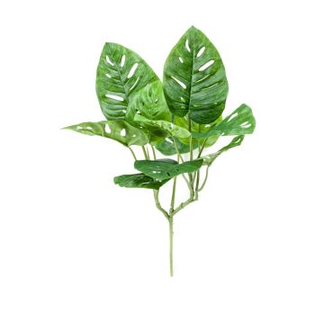 Art Philodendron Monstera Deliciosa BERLANGA, tyčinka, 40cm