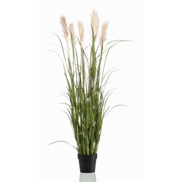 Umělá pampová tráva ALCANTARA s latami, zelená, 160 cm