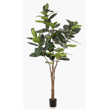 Umělý strom Ficus Elastica FERIA, umělý kmen, zelený, 210 cm
