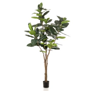 Umělý strom Ficus Elastica FERIA, umělý kmen, zelený, 210 cm