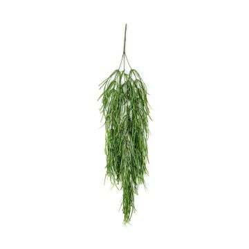 Umělý závěs rhipsalis TALIGA na zápichu, zelený, 80cm Umělý závěs rhipsalis TALIGA na zápichu, zelený, 80cm