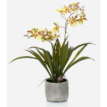 Umělecká orchidej oncidium COLUNGA v keramickém květináči, žlutooranžová, 45 cm