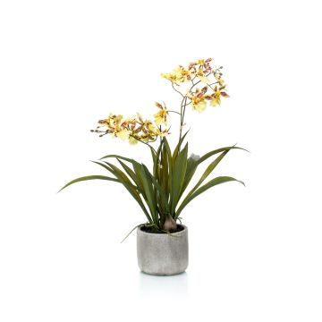 Umělecká orchidej oncidium COLUNGA v keramickém květináči, žlutooranžová, 45 cm Umělecká orchidej oncidium COLUNGA v keramickém květináči, žlutooranžová, 45 cm
