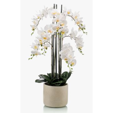 Umělá orchidej Phalaenopsis CECILE, keramický hrnec, bílý, 100cm
