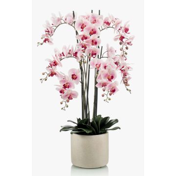 Umělecká orchidej Phalaenopsis CECILE, keramický hrnec, růžovo-růžový, 100cm
