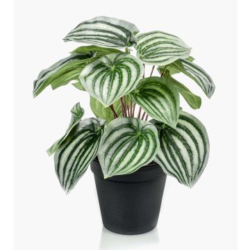 Umělý pepřinec KEPANO, zelenobílý, 25cm Umělý pepřinec KEPANO, zelenobílý, 25cm