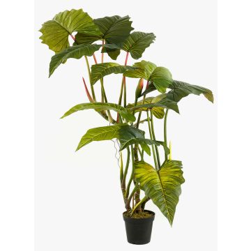 Umělá kolokázie SOTU, zelená, 175cm Umělá kolokázie SOTU, zelená, 175cm