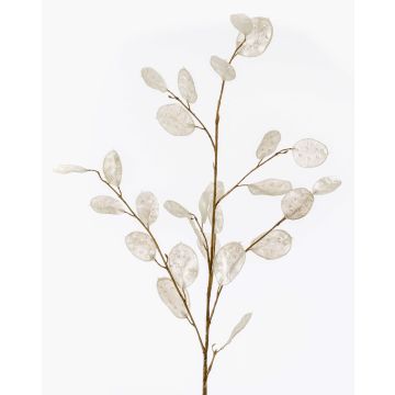 Umělá větev Lunaria BUELNA, krémová, 105cm