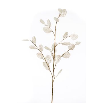 Umělá větev Lunaria BUELNA, krémová, 105cm Umělá větev Lunaria BUELNA, krémová, 105cm
