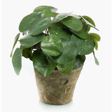 Umělá pilea SYBIL v terakotovém květináči, zelený, 22cm