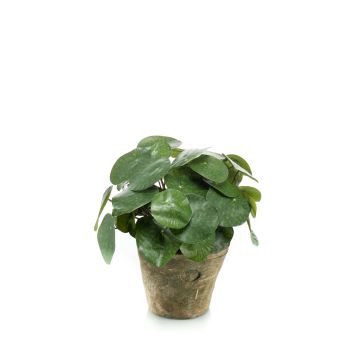 Umělá pilea SYBIL v terakotovém květináči, zelený, 22cm