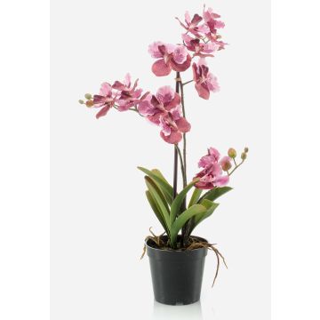 Umělá květina Vanda Orchid CAMPO, růžová, 60cm