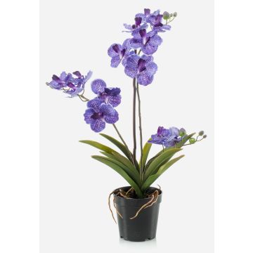 Umělá květina Vanda Orchid CAMPO, fialová, 60cm