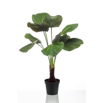 Umělá paprsková dlaň BERANT, 130 cm