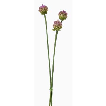 Umělý svazek květů allium cepa LAMDA, fialovo-zelený, 65cm