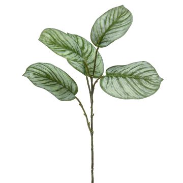 Umělá větvička calathea orbifolia ALNIYAT, zeleno-bílá, 75cm Umělá větvička calathea orbifolia ALNIYAT, zeleno-bílá, 75cm