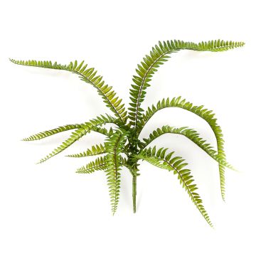 Umělý ledviník ARVO na zápichu, 60cm, Ø70cm Umělý ledviník ARVO na zápichu, 60cm, Ø70cm