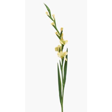 Umělá gladiola AJNUR, žlutá, 125cm Umělá gladiola AJNUR, žlutá, 125cm