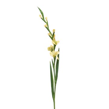 Umělá gladiola AJNUR, žlutá, 125cm