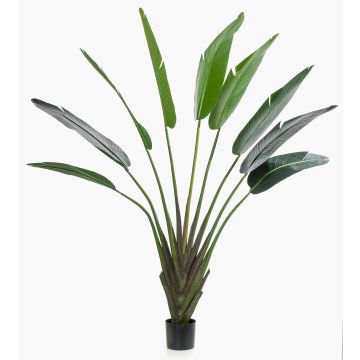Umělá strelítzie madagaskarská DARCEL, zelená, 180cm Umělá strelítzie madagaskarská DARCEL, zelená, 180cm