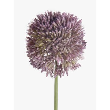Umělé allium NATASHA, fialové, 65cm, Ø10cm