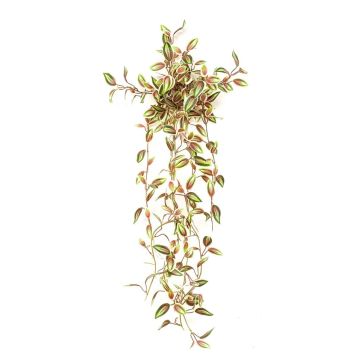 Umělá rostlina Tradescantia zebrina DIHALLO na tyči, závěsná, zeleno-červená, 70cm Umělá rostlina Tradescantia zebrina DIHALLO na tyči, závěsná, zeleno-červená, 70cm