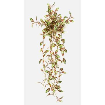 Umělá rostlina Tradescantia zebrina DIHALLO na tyči, závěsná, zeleno-červená, 70cm Umělá rostlina Tradescantia zebrina DIHALLO na tyči, závěsná, zeleno-červená, 70cm