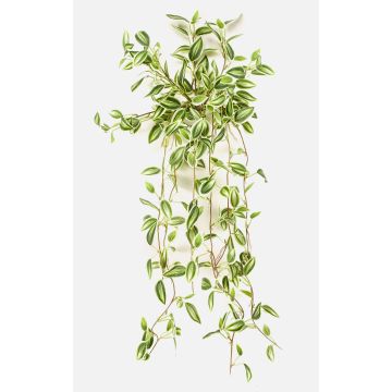Umělá rostlina Tradescantia zebrina DIHALLO na tyči, závěsná, zelenobílá, 70cm Umělá rostlina Tradescantia zebrina DIHALLO na tyči, závěsná, zelenobílá, 70cm